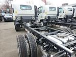 New 2024 Chevrolet LCF 4500HG Regular Cab 4x2, Cab Chassis for sale #2481140 - photo 2