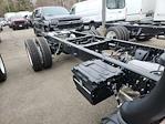 New 2024 Chevrolet LCF 4500HG Regular Cab 4x2, Cab Chassis for sale #2481200 - photo 4