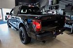 2024 Ford F-150 SuperCrew Cab 4x4, Pickup for sale #91846 - photo 2