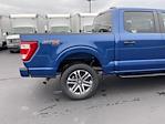 2023 Ford F-150 SuperCrew Cab 4WD, Pickup for sale #BFBL230819 - photo 15