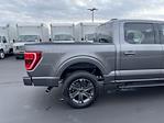 2023 Ford F-150 SuperCrew Cab 4WD, Pickup for sale #BFB230901 - photo 15