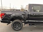 2024 Ford F-150 SuperCrew Cab 4WD, Pickup for sale #BFB240424 - photo 9