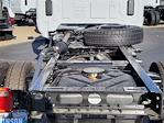 New 2024 Chevrolet Silverado 5500 Work Truck Regular Cab 4x4, Cab Chassis for sale #SCL240822 - photo 21