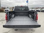 New 2024 Ford F-150 XLT SuperCrew Cab 4x4, Pickup for sale #RFB86522 - photo 67