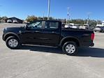 New 2024 Ford Ranger XL SuperCrew Cab 4x4, Pickup for sale #RLE61546 - photo 8