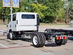 New 2024 Isuzu NPR-HD Crew Cab 4x2, Cab Chassis for sale #RS210956 - photo 2