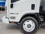 New 2024 Isuzu NRR Regular Cab 4x2, Box Truck for sale #RSR00479 - photo 6