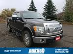 2009 Ford F-150 SuperCrew Cab 4x4, Pickup for sale #UR226 - photo 1