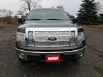 2009 Ford F-150 SuperCrew Cab 4x4, Pickup for sale #UR226 - photo 3