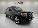 Used 2014 Ford F-150 STX SuperCrew Cab RWD, Pickup for sale #240789A - photo 8