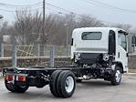 2024 Chevrolet LCF 3500HG Regular Cab RWD, Cab Chassis for sale #240866 - photo 2