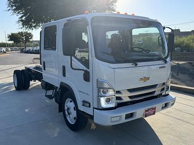 2025 Chevrolet LCF 5500XG Crew Cab RWD, Cab Chassis for sale #250338 - photo 1