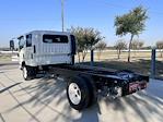 2025 Chevrolet LCF 5500XG Crew Cab RWD, Cab Chassis for sale #250338 - photo 6