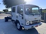 2025 Chevrolet LCF 5500XG Crew Cab RWD, Cab Chassis for sale #250339 - photo 1