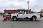 2024 Ford F-250 Regular Cab 4x4, Plow Truck for sale #240969TZ - photo 6