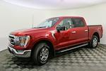 2021 Ford F-150 SuperCrew Cab 4x4, Pickup for sale #241209TA - photo 6