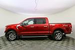 2021 Ford F-150 SuperCrew Cab 4x4, Pickup for sale #241209TA - photo 7