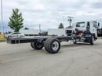 New 2024 Chevrolet LCF 7500XD Regular Cab 4x2, 26' Morgan Truck Body Gold Star Box Truck for sale #53810 - photo 16