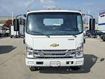 New 2025 Chevrolet LCF 4500HG Work Truck Regular Cab 4x2, Cab Chassis for sale #54339 - photo 8