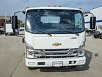 2025 Chevrolet LCF 4500HG Regular Cab 4x2, Cab Chassis for sale #54347 - photo 8