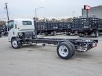 New 2025 Chevrolet LCF 4500HG Regular Cab 4x2, Cab Chassis for sale #54463 - photo 5