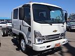 New 2024 Chevrolet LCF 4500HG Crew Cab RWD, Cab Chassis for sale #240019 - photo 4