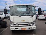 New 2024 Chevrolet LCF 4500HG Regular Cab RWD, Cab Chassis for sale #240020 - photo 13