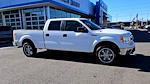 Used 2013 Ford F-150 XLT SuperCrew Cab 4WD, Pickup for sale #4EX8466B - photo 7