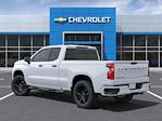 2025 Chevrolet Silverado 1500 Double Cab RWD, Pickup for sale #250665 - photo 3