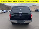 Used 2015 Ford F-150 XLT SuperCrew Cab 4WD, Pickup for sale #C500581 - photo 7