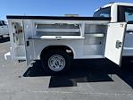 New 2023 Ford F-250 XL Regular Cab 4WD, 8' Reading SL Service Body Service Truck for sale #FT23324 - photo 16