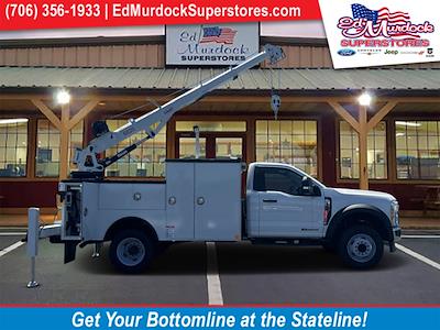 New 2023 Ford F-600 Regular Cab RWD, Reading Master Mechanic HD Crane Mechanics Body for sale #FT23445 - photo 1