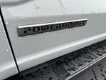 New 2024 Ford F-150 XLT SuperCrew Cab 4WD, Pickup for sale #F40694 - photo 33