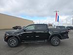 New 2024 Ford Ranger XLT SuperCrew Cab 4x4, Pickup for sale #40590 - photo 9