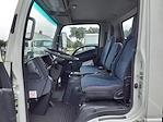 New 2023 Isuzu NRR Regular Cab 4x2, Cab Chassis for sale #P7308571 - photo 6