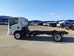 2024 Isuzu NRR Regular Cab 4x2, Cab Chassis for sale #240789 - photo 8