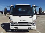New 2024 Isuzu NRR Regular Cab 4x2, Cab Chassis for sale #241295 - photo 3