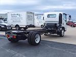 New 2024 Isuzu NPR-HD Regular Cab 4x2, Cab Chassis for sale #242783 - photo 6