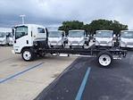 New 2024 Isuzu NPR-HD Regular Cab 4x2, Cab Chassis for sale #242783 - photo 8