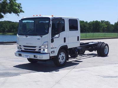 2024 Isuzu NRR Crew Cab 4x2, Cab Chassis for sale #242940 - photo 1