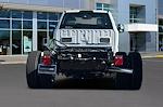 New 2024 Ford F-600 Regular Cab 4x2, Cab Chassis for sale #241165UP - photo 3