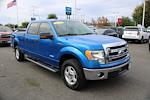 Used 2013 Ford F-150 XLT SuperCrew Cab 4WD, Pickup for sale #240092A - photo 1