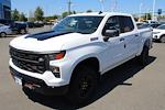 New 2024 Chevrolet Silverado 1500 Custom Crew Cab 4WD, Pickup for sale #240369 - photo 1