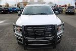 Used 2019 Ford F-150 XL Regular Cab RWD, Pickup for sale #P57915A - photo 3