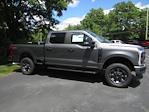 New 2024 Ford F-250 XL Crew Cab 4x4, Pickup for sale #24213T - photo 5