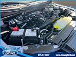 2023 Ford F-150 Regular Cab 4x2, Pickup for sale #33116 - photo 29