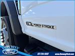 2024 Ford F-550 Regular Cab DRW 4x2, Stake Bed for sale #33219 - photo 12