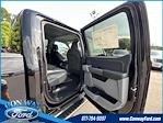 New 2024 Ford F-150 XLT SuperCrew Cab 4x2, Pickup for sale #33421 - photo 19