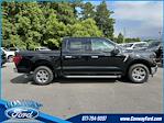 New 2024 Ford F-150 XLT SuperCrew Cab 4x2, Pickup for sale #33421 - photo 3