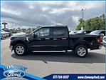 New 2024 Ford F-150 XLT SuperCrew Cab 4x2, Pickup for sale #33421 - photo 6